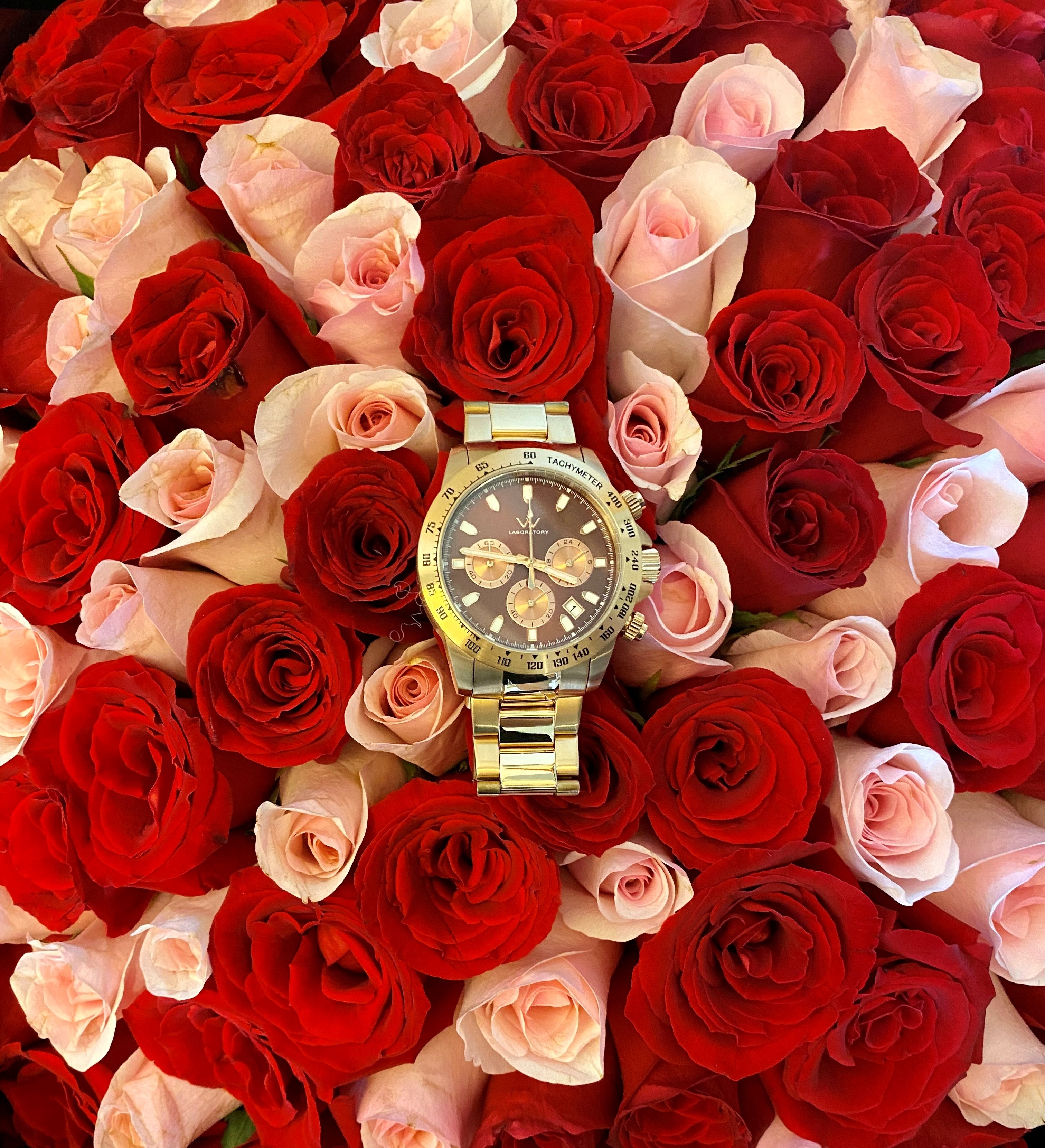 Speed - Rose Gold 02